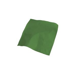 Atlantis Goal Bandana / Green
